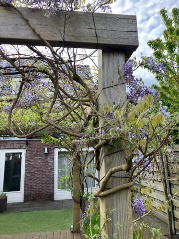B&B Schiphol Amsterdam Rijsenhout Eksteriør billede